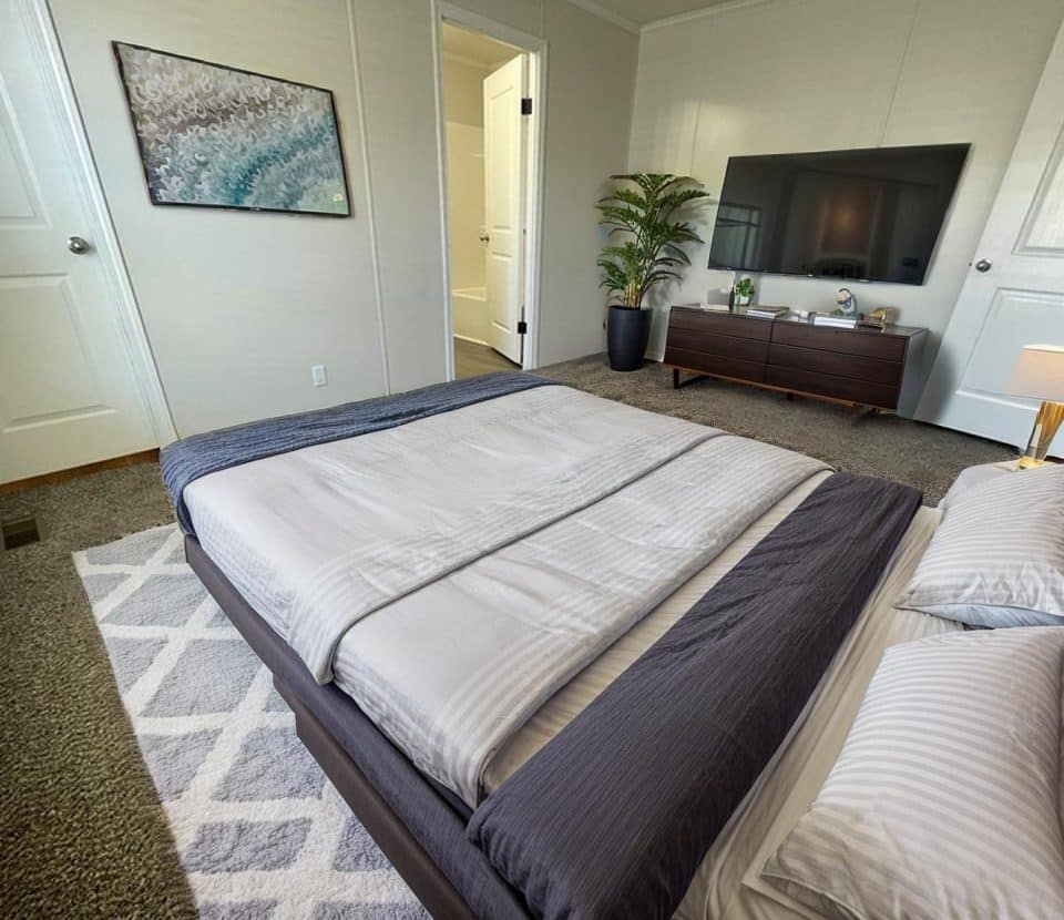 A modern bedroom with a neatly made bed, gray and white bedding, a bedside lamp, a patterned rug, a large TV on a wooden console, a potted plant, and a landscape artwork on the wall. Three doors are visible.