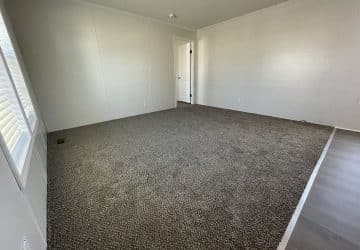 Empty room with beige carpet flooring, white walls, a closed white door, and a window letting in natural light on the left side. Part of the floor near the right edge is a different, hard surface.
