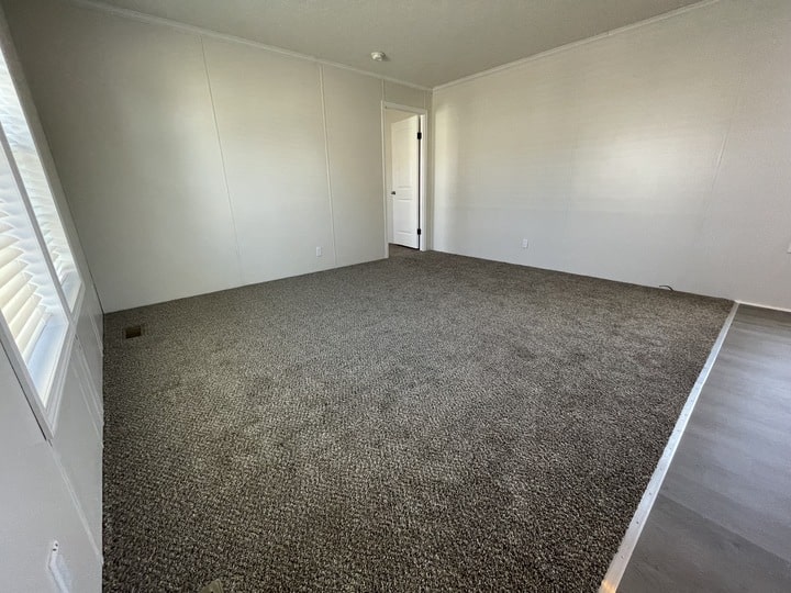 Empty room with beige carpet flooring, white walls, a closed white door, and a window letting in natural light on the left side. Part of the floor near the right edge is a different, hard surface.
