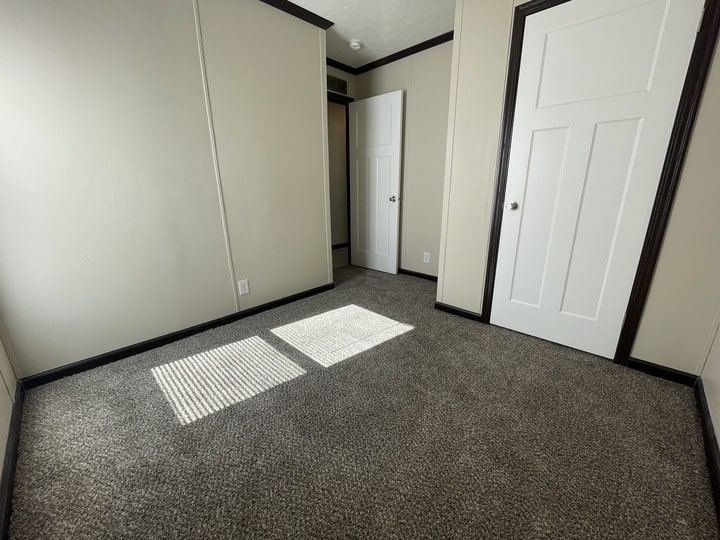 Empty room with beige walls, gray carpet, and two white doors. Sunlight shines through a window, creating two bright square patches of light on the carpet. The room has dark trim around the doors and floor.