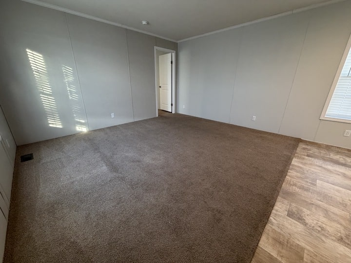 Empty room with beige carpet, light gray walls, a door slightly open, and a window with blinds letting in sunlight. Part of the floor near the window is a light wood-look vinyl.
