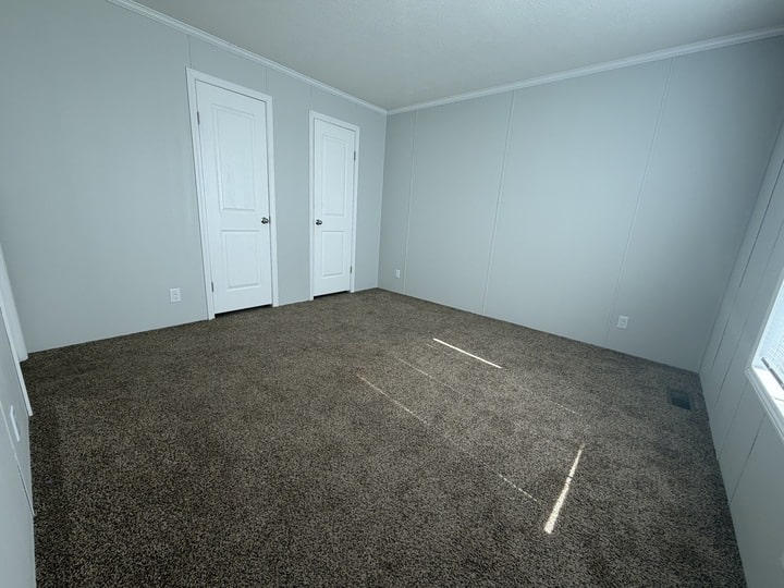 An empty room with light gray walls, brown carpet, two white doors, and sunlight streaming in through a window on the right.