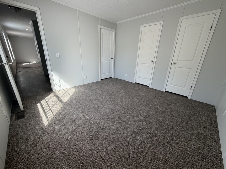 Empty carpeted room with light gray walls, three closed white doors, and sunlight streaming in from a window on the left. A hallway leads to another area of the house.