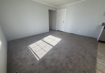A bright, empty room with light gray walls, beige carpet, a white door, and a square sunlight patch on the floor. The corner of a kitchen counter and hardwood floor is visible on the right.