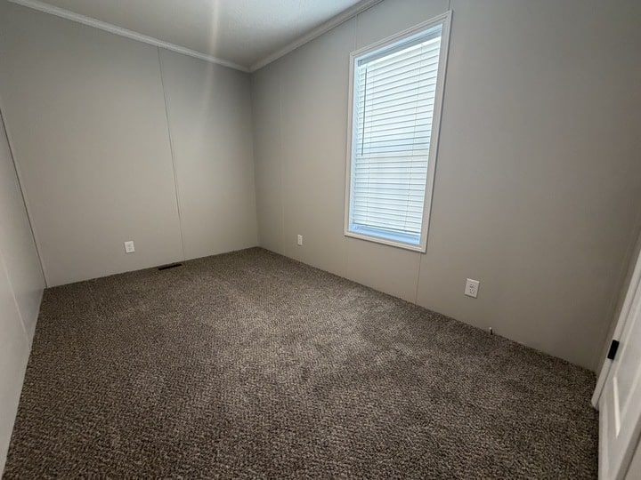 Empty room with gray walls, a single window with white blinds, light brown carpet, and white trim. There are electrical outlets on the walls and a closed white door on the right side of the image.