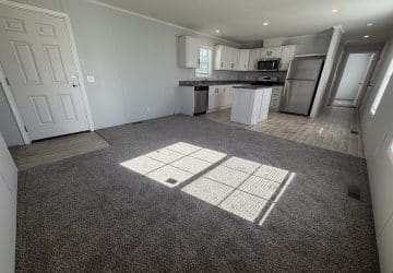 Open-concept living room and kitchen with gray carpet, light-colored walls, stainless steel appliances, white cabinets, and sunlight streaming through a window onto the carpeted floor.