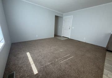 A bright, empty room with light gray walls, brown carpet, a white door, and sunlight streaming in from a window on the left. The floor transitions to wood near the entrance.