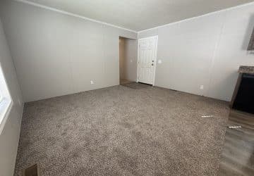 Empty room with light gray carpet, light gray walls, white trim and ceiling, a white entry door, and a small section of wood-look flooring near the door. Sunlight enters from a window on the left.
