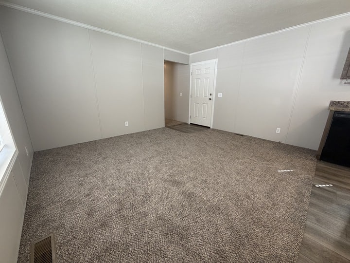 Empty room with light gray carpet, light gray walls, white trim and ceiling, a white entry door, and a small section of wood-look flooring near the door. Sunlight enters from a window on the left.